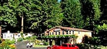 Fern Grove