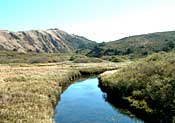 Pomo Canyon Campground - Between Duncan's Mills and Jenner