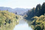 Up the River from the Guerneville Bridge