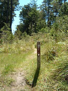 Trail Head at Salt Point Park