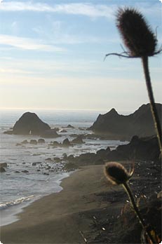 Sonoma Coast at Dusk