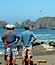 Sonoma Coast State Beach