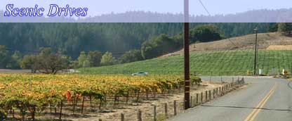 Russian River - Unequaled Northern California Splendor