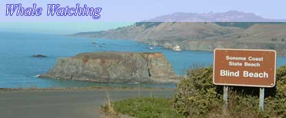 Russian River - Unequaled Northern California Splendor