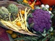 Russian River Food and Winefest